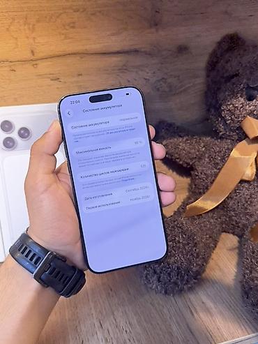 86: IPhone 16 Pro Max, 256 ГБ, цвет серый/титановый оттенок. Ключевые — 8