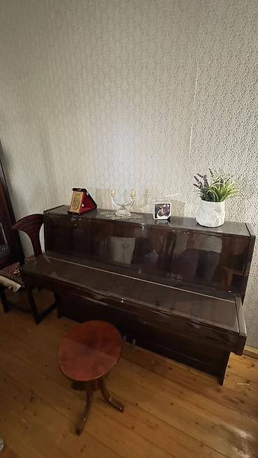 PETROF uprayt pianino - Brend/model: PETROF upright (akustik) -