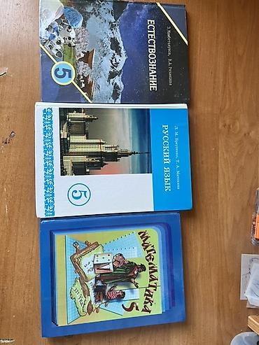 Комплект учебников для 5 класса: - Русский язык (Л. М. Бруссенко, Т