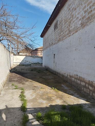 Torpaq sahələrinin satışı: Kənd təsərrüfatı — 5