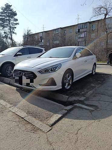 Другие автоуслуги: Сдаю в аренду Hyundai Sonata, белый седан бизнес-класса (рестайлинг) — 1