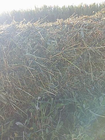 ячмень мука: Сено в тюках (луговое/бобово-злаковое) - Упаковка: прямоугольные тюки — 1