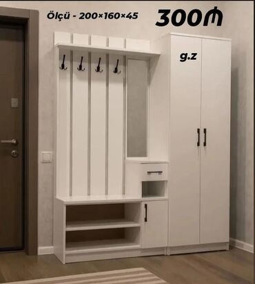 Masalar və oturacaqlar: Açılan, 2 qapılı Düz dolab, Dəhliz dolabı