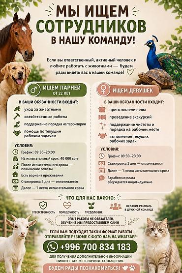 бимед фарм вакансии: 🐾 МЫ ИЩЕМ СОТРУДНИКОВ В НАШУ КОМАНДУ! 🐢🦚 Если вы ответственный — 1