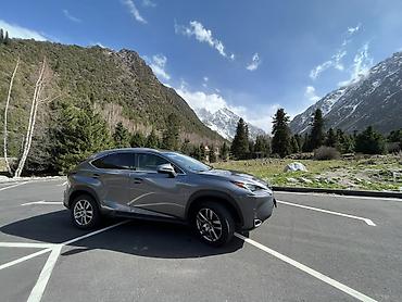 лексус кроссовер: Lexus NX: 2016 г., Автомат, Кроссовер — 2