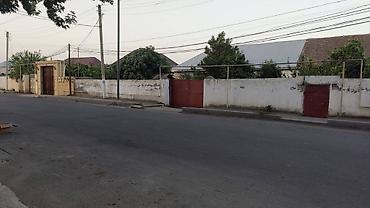 seki torpaq: 6 sot, Biznes üçün, Mülkiyyətçi, Kupça (Çıxarış) — 8