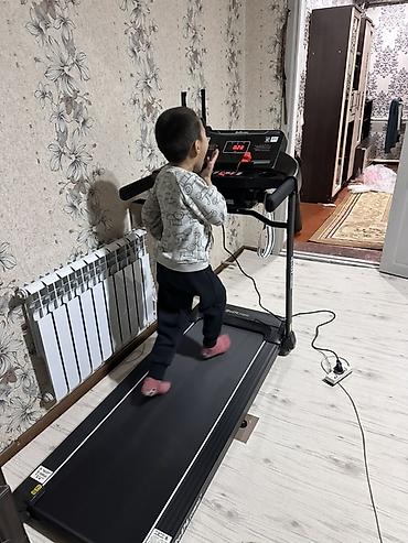 Беговые дорожки: Беговая дорожка BeDL (серия BDLLine) новый запечатанный 140 кг 3.5 — 5