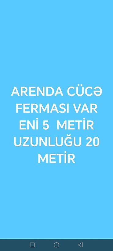 torpaq şirvan: Kənd təsərrüfatı, Qaz — 1