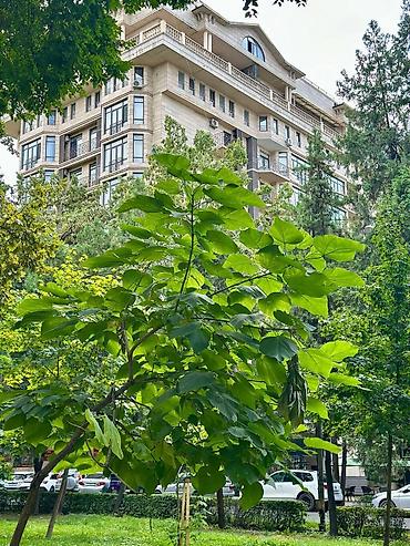 5 комнат, 205 м², Элитка, 2 этаж, Свежий ремонт
