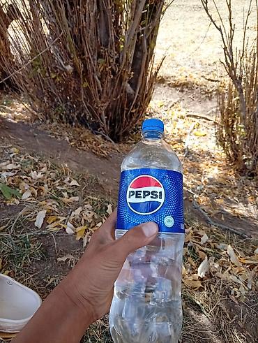 живой форел: Pepsi, бутылка ПЭТ 1 л - Классический бренд Pepsi в удобной — 4