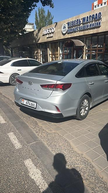 byd ev: Hyundai Sonata: 2017 г., Автомат, Бензин, Седан — 1