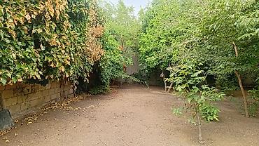 kireye: Bakı, Maştağa qəs., 67 kv. m, 3 otaqlı, Hovuzsuz, İşıq, İnternet, Qaz — 3