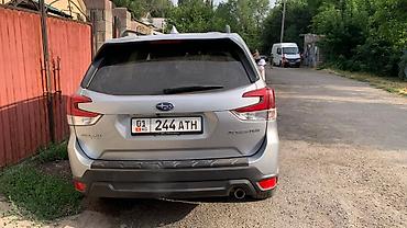 forester 2019: Subaru Forester: 2019 г., 2.5 л, Автомат, Бензин, Внедорожник — 6