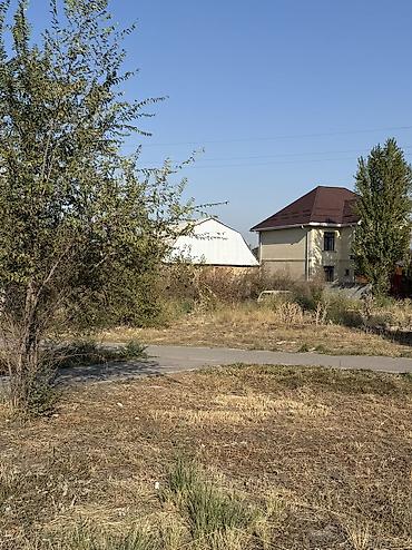 ак орго участки: 5 соток, Для строительства, Красная книга, Тех паспорт, Договор купли-продажи — 1