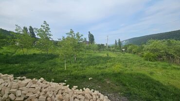 Torpaq sahələrinin satışı: 40 sot, Tikinti, Mülkiyyətçi, Kupça (Çıxarış) — 10