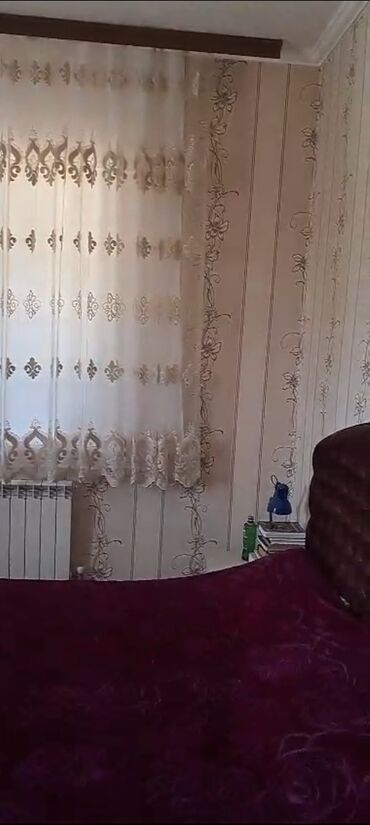 Torpaq sahələrinin satışı: 50 sot, Kənd təsərrüfatı — 17