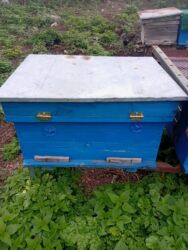 горка мебель: Salam arı yeşiyidir 1 mertebeledir yaxşı veziyyetdedir. 10 ededdir 1