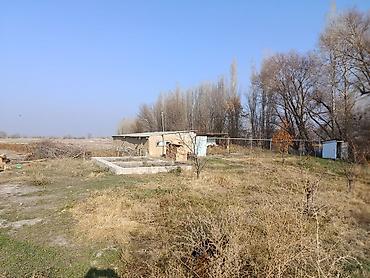 Продажа коттеджей и домов: Продается кошмара с жидым новым домом и всеми удобствами. Большая — 11