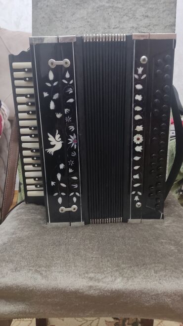 Lüğətlər: Akustik Akkordeon