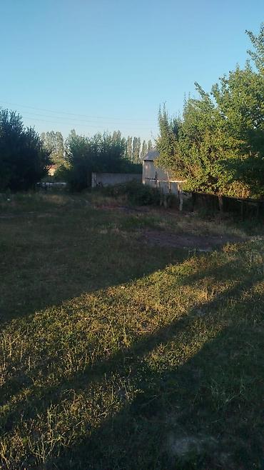 9 соток, Кызыл китеп — 3