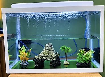 akvariyum: Akvaryum seti – LED işıqlı, qapaqlı, dekorasiyalı - Şüşə akvaryum, ağ — 5