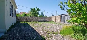 quba rayonu: Bakı, 76 kv. m, 3 otaqlı, İşıq, Artezian quyusu, İnternet — 5