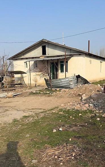 сары булун: 100 соток, Иштеп жаткан, Жабдуулары менен, Электр энергиясы — 4