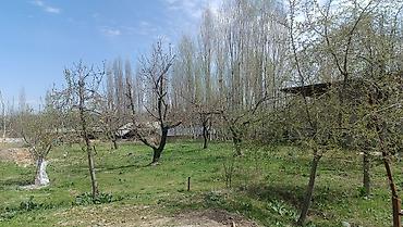 Другие удобства для дома и сада: Другие удобства для дома и сада — 5