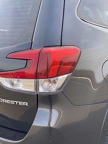 Subaru: Subaru Forester: 2019 г., 2.5 л, Вариатор, Электромобиль, Кроссовер — 27