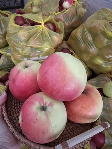 Яблоки: Яблоки Оптом — 6