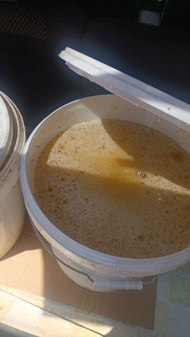 миндаль цена за 1 кг бишкек: 🍯 Натуральный мёд от пасечника! Продаю 100% домашний мёд — без