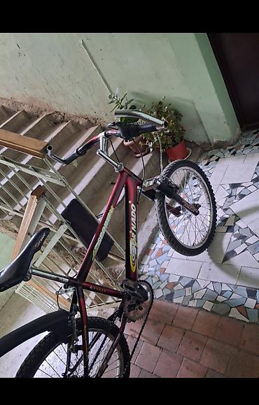 velosiped irsad: Heç bir problemi yoxdur çox surlumyub herşyi işlək vəziyyətdə — 2