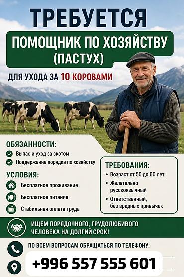 бетоные лотки: Вакансия: помощник по хозяйству (пастух) для ухода за 10 коровами — 1