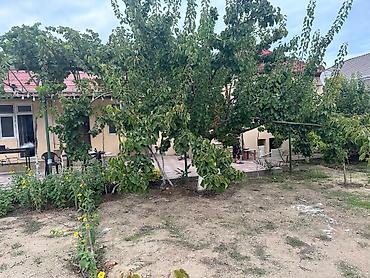 Bağ evlərinin satışı: SAHIBINDEN 🏡 ALBALILIQDA MÖHTƏŞƏM BAĞ EVİ – HƏM YAŞAYIŞ, HƏM DƏ — 18