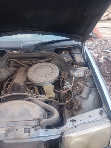 Mercedes-Benz: Mercedes-Benz W124: 1988 г., 2.3 л, Механика, Бензин, Седан — 16