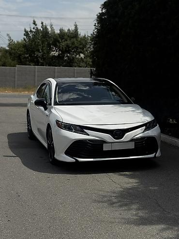таета платз: Toyota Camry: 2019 г., Гибрид, Седан — 1