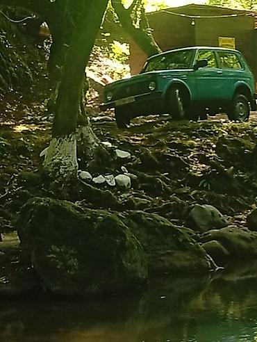 torpaqla barter maşınlar: VAZ (LADA) 4x4 Niva: 1.7 l | 1995 il 230000 km Ofrouder/SUV — 6