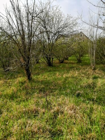 Bağ evlərinin satışı: Xaçmaz, 300 kv. m, 4 otaqlı, Qaz, İşıq — 8