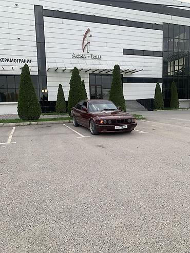 bad e2: BMW 5 series: 1991 г., 2 л, Механика, Бензин, Седан — 5