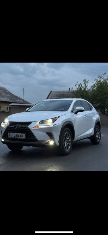 балыкчы автомобиль: Lexus NX: 2019 г., 2 л, Автоматтык, Бензин, Кроссовер