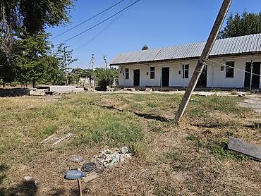 котедж слив пантера: Здание, Действующий 100 м² — 8