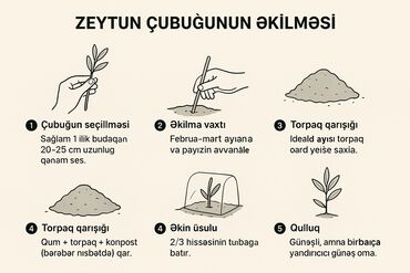 nespresso qiymeti: Номер: ( 070 ) ( 2000080 ), Новый