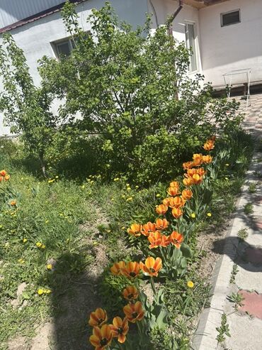 продаю дом белаводск: Дом, 100 м², 6 комнат, Собственник