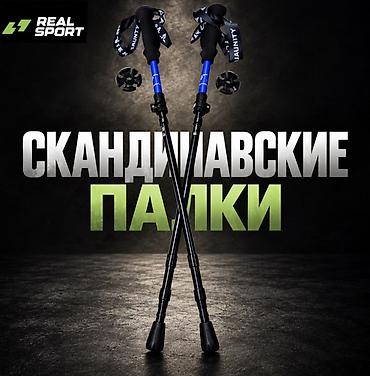 Скандинавские палки для ходьбы REAL SPORT (TEAM JAUNTY) - Складная