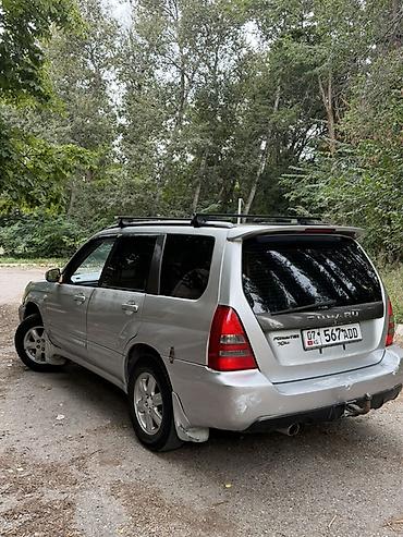 форестер 1997: Subaru Forester: 2003 г., 2 л, Автомат, Бензин, Универсал — 5