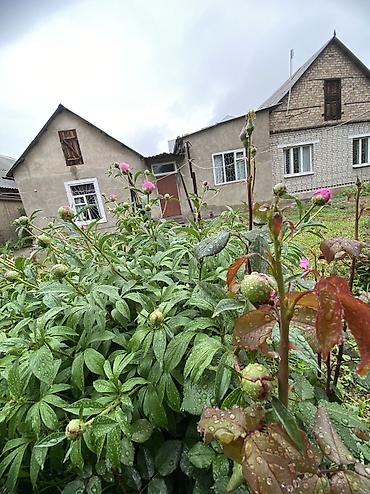 Продажа коттеджей и домов: Продается дом с участком Комнат: 5 Площадь: 103 кв.м Участок: 4 сот — 1