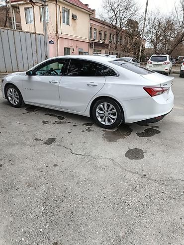 Chevrolet: Chevrolet Malibu sedan iL 2021 - Kuzov: ağ rəng, 4 qapı, aerodinamik — 7