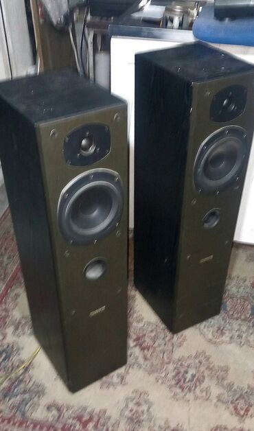 Zvučnici i stereo sistemi: 2 Mini Linije ili 2 Stuba Sony  80i220eu.Sony sa Panasonic zvucnicima — 5