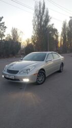 дом на колосах: Toyota Windom: 2002 г., 3 л, Автомат, Бензин, Седан