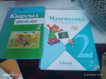 готовые домашние задания по кыргызскому языку 5 класс жусупбекова: Комплект из двух школьных учебников: "Математика" и "Кыргыз тили". Оба